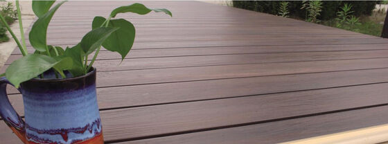 Outdoor Solid WPC Co-Extrusion Capped Composite Decking for Garden